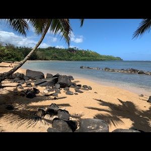 Meet your Posher, Claire